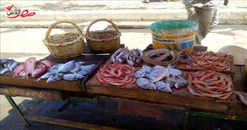  الأسماك تتربع على عرش المائدة الرمضانية في الإسكندرية 